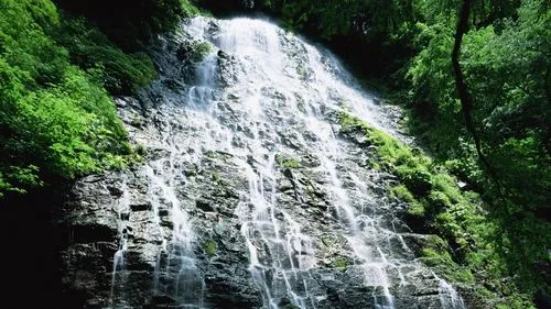高端独特可靠性